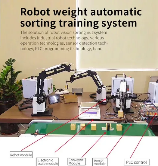 303ED Humanoid Robot A1