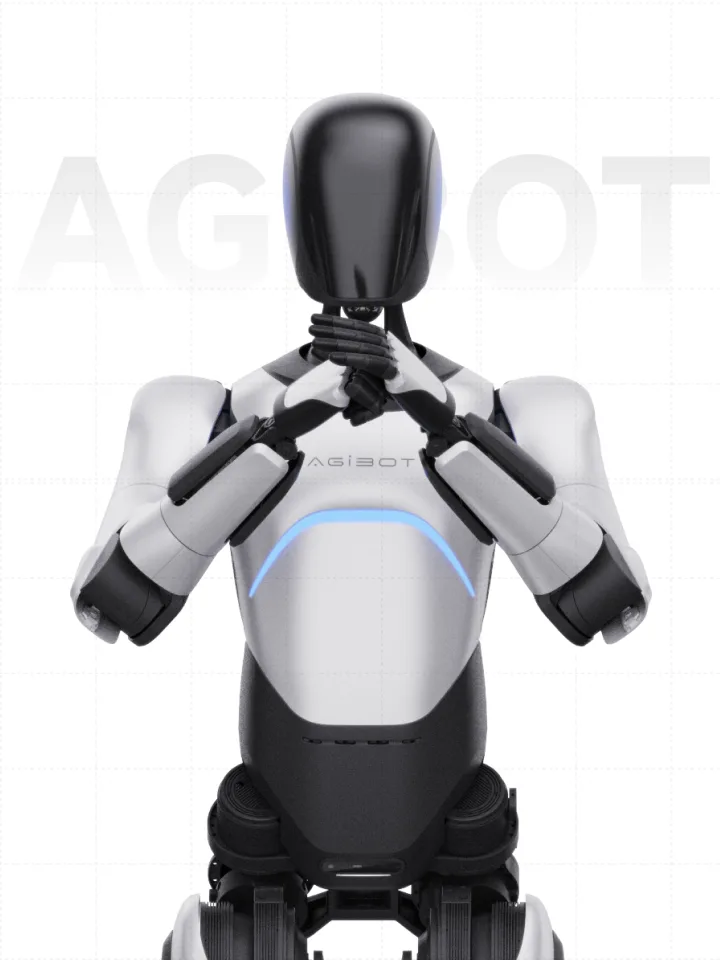 AGIBOT X1