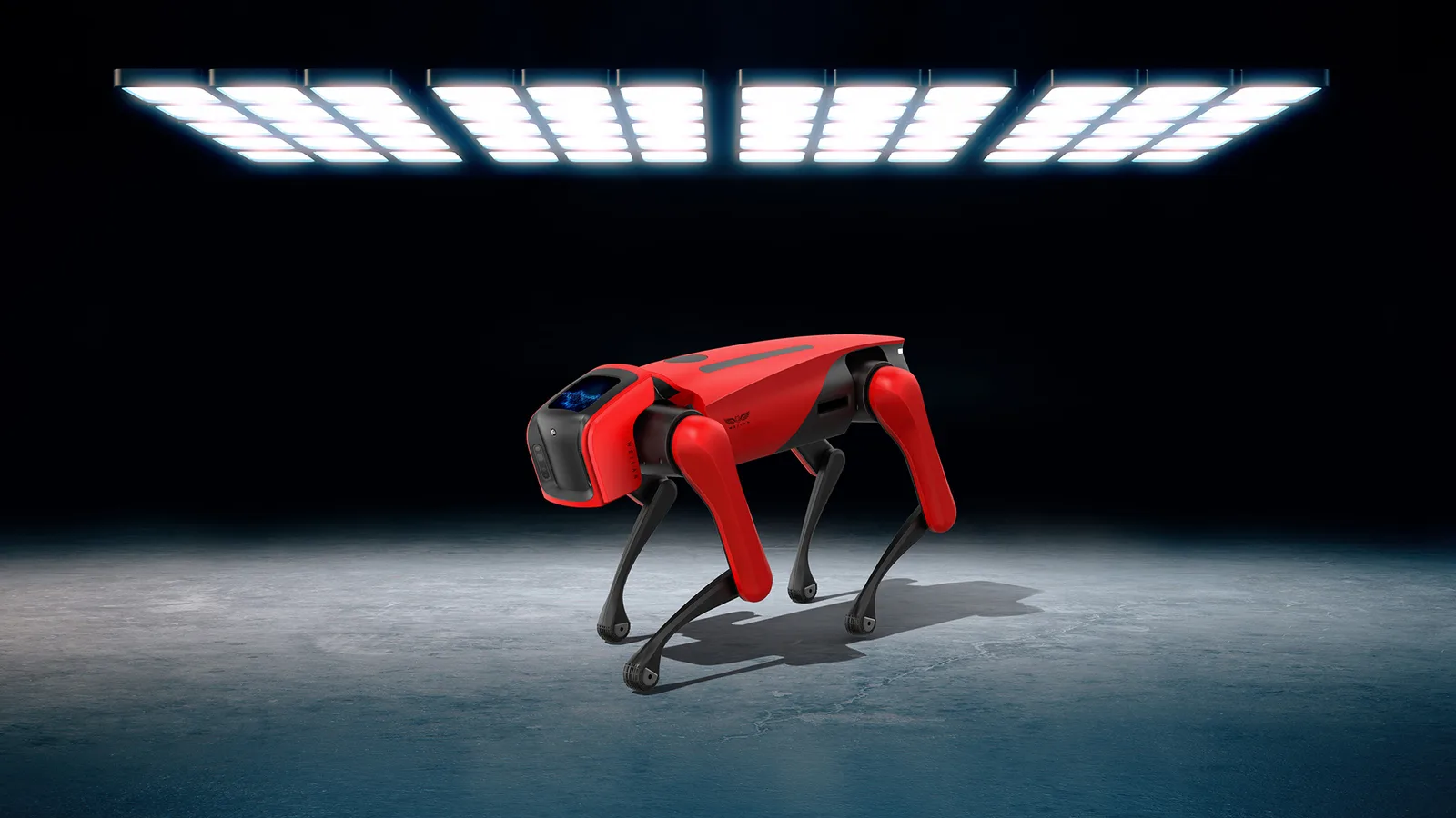 AlphaDog Pro