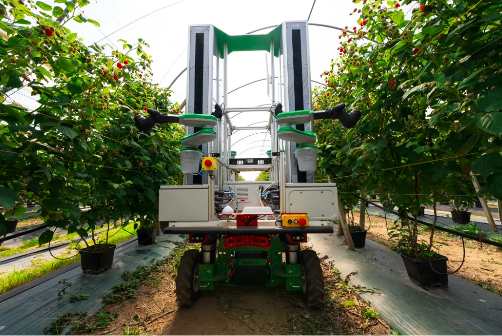 Autonomous Raspberry Harvesting Robot