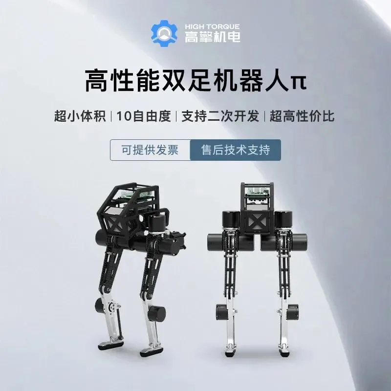 Bipedal Robot π