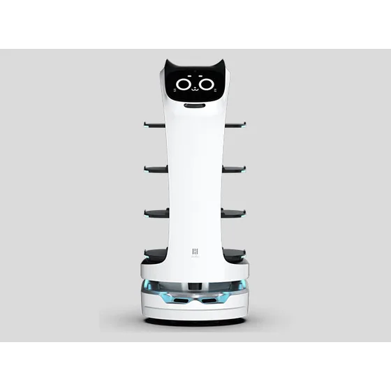 Delivery/Serving Robot