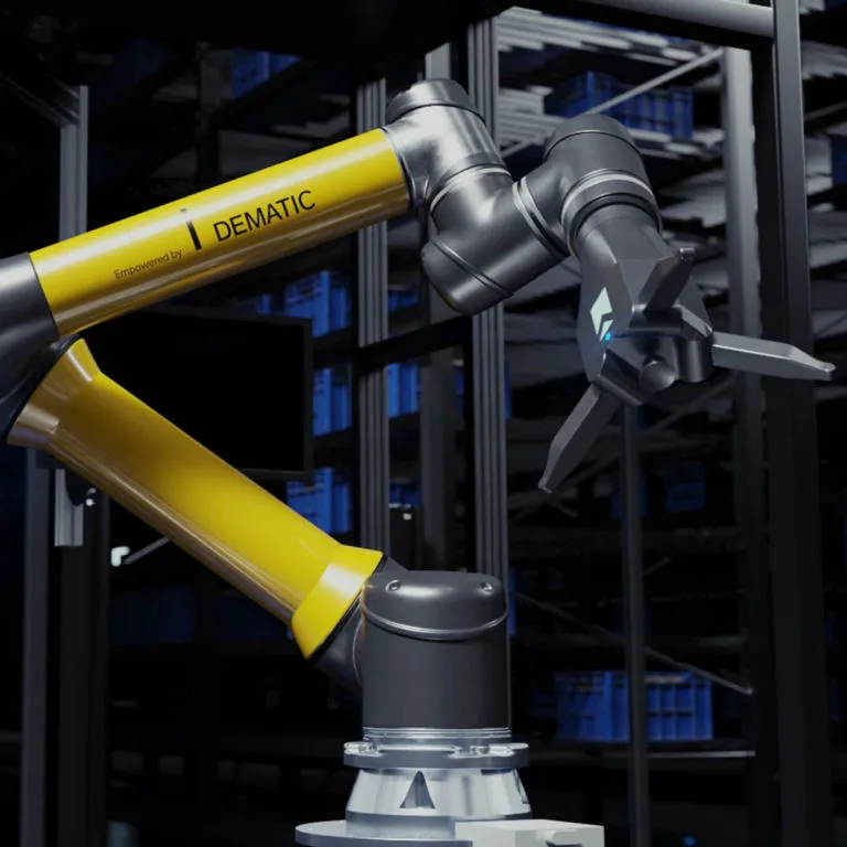 Dematic Robotic Piece-Picking Module