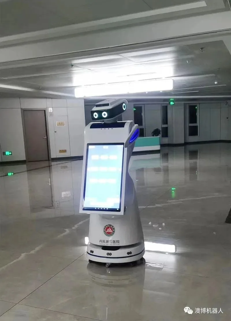 Doctor Guidance Robot