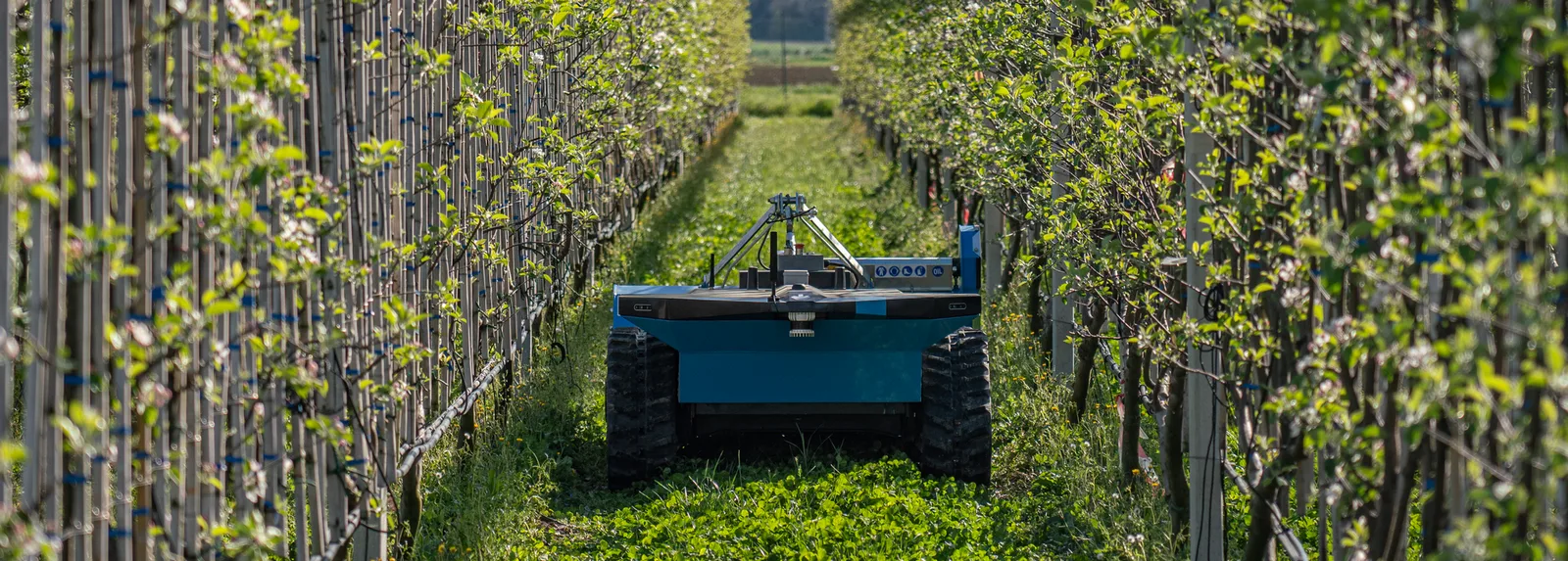 Field Robot