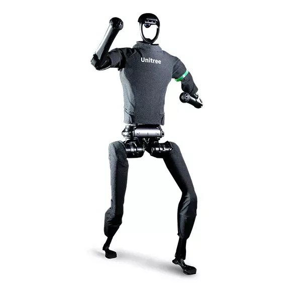 H1