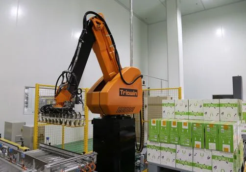 HPR-200 Palletizing Robot