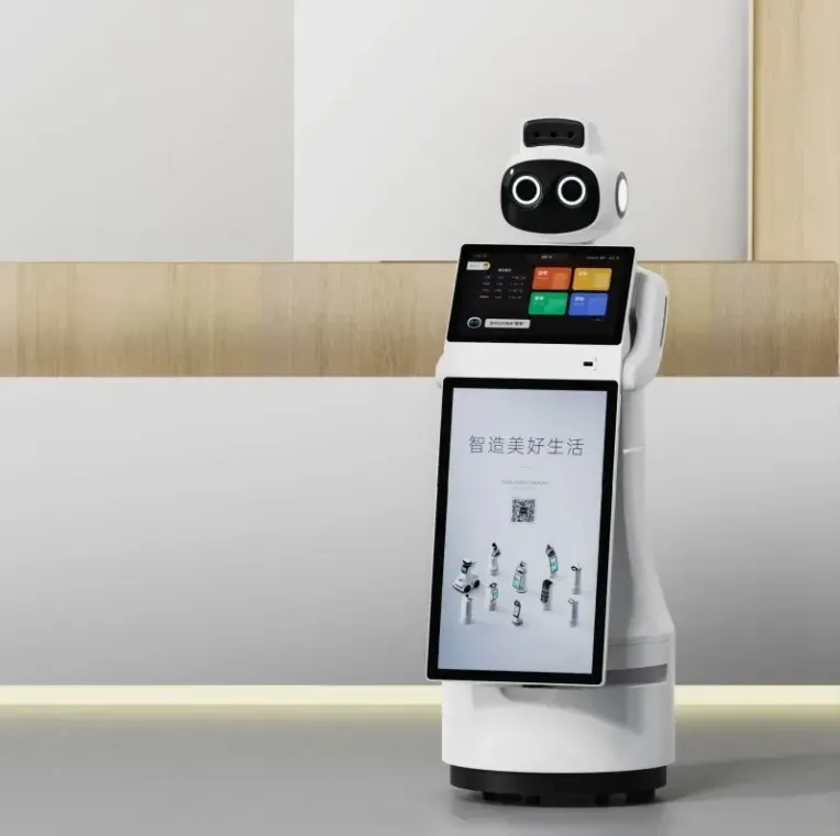 Humanoid Reception Robot