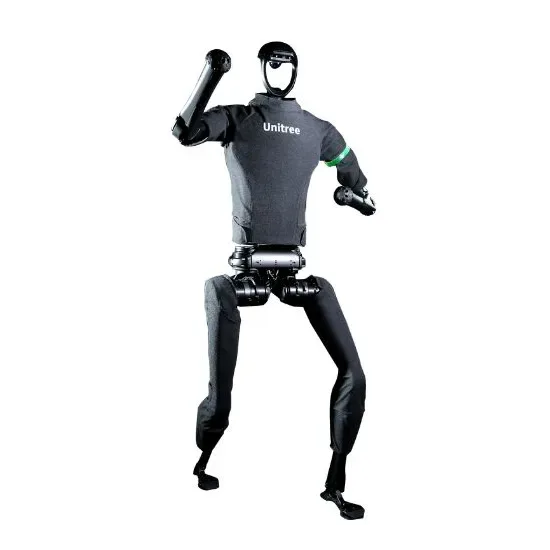 Humanoid robot H-1