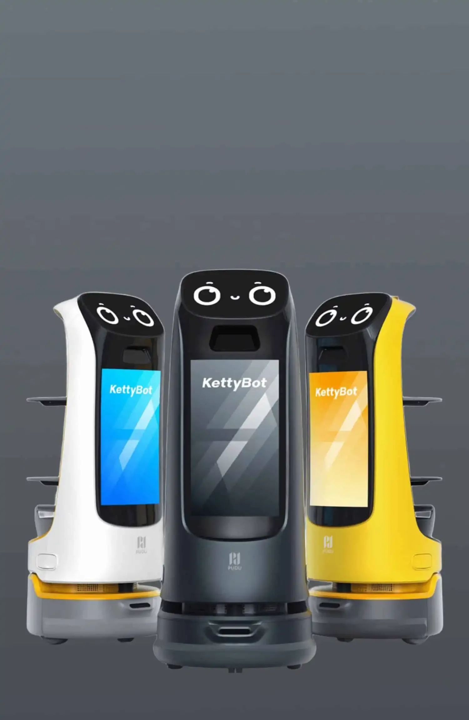 KettyBot Pro