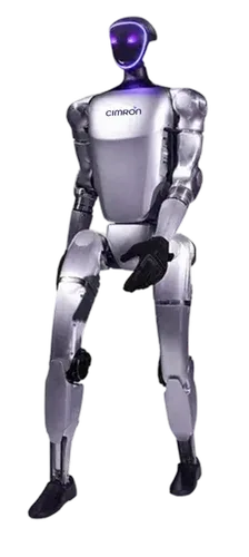 Manav Humanoid Service Robot