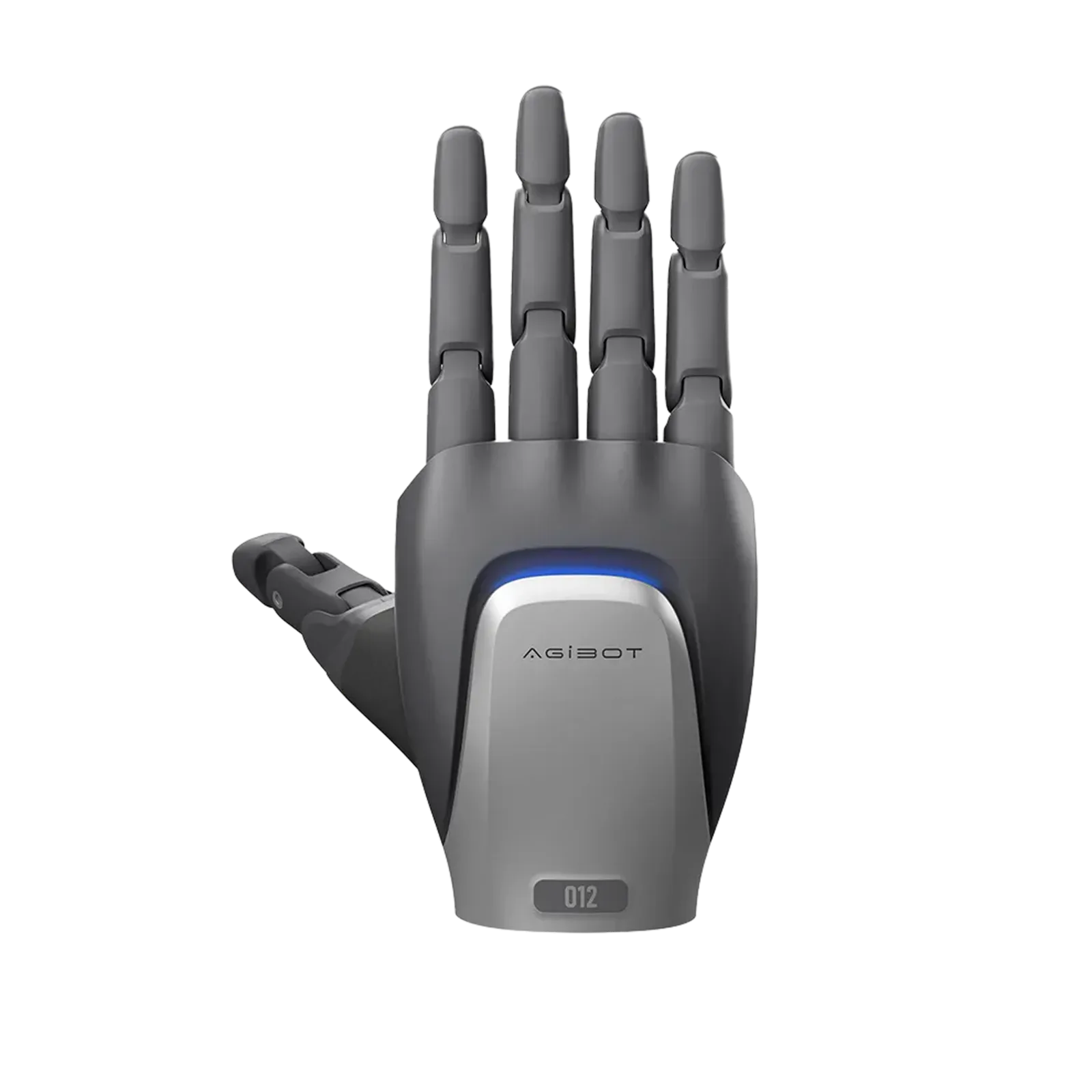 OmniHand 2025