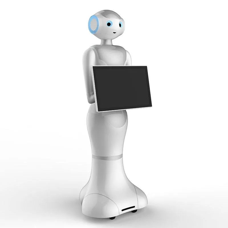 Peipei2 Service Robot