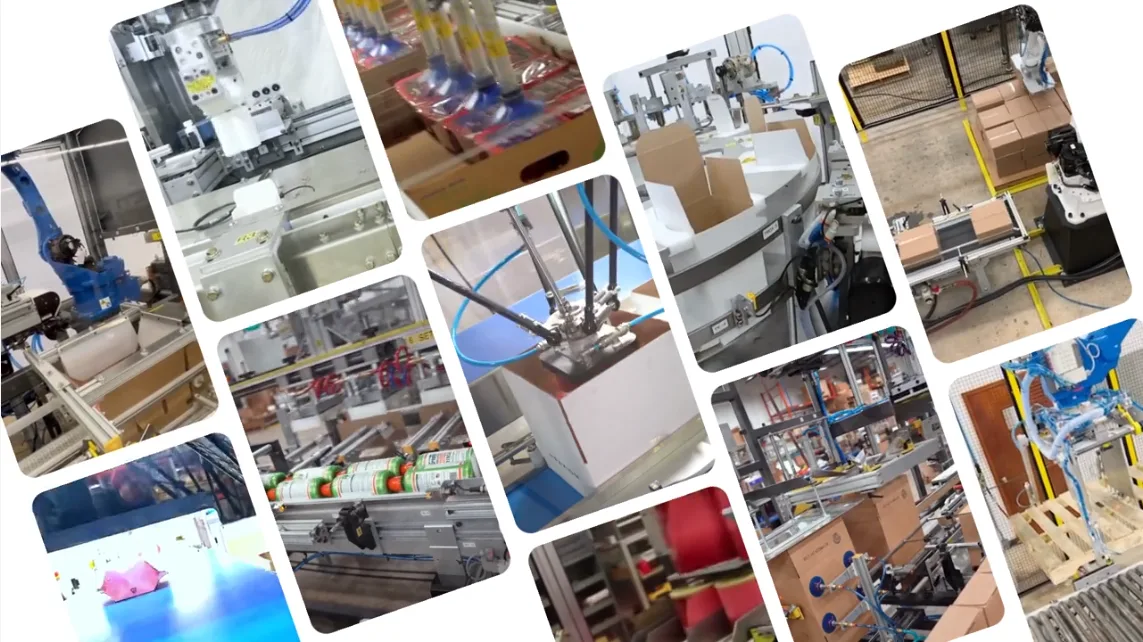 PKR Gantry Robotic Case/Tray Packers
