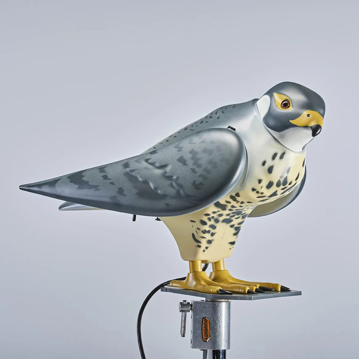R:Falcon
