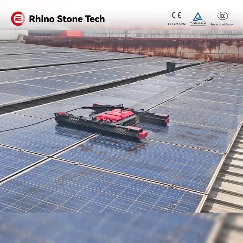 Rhino EC6