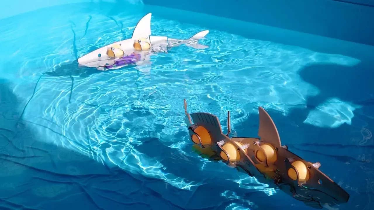 Robot Fish
