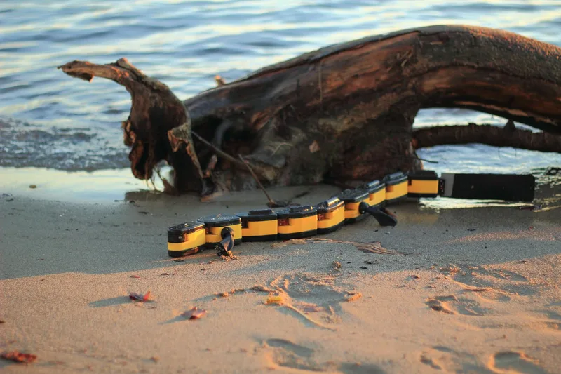 Salamandra robotica II