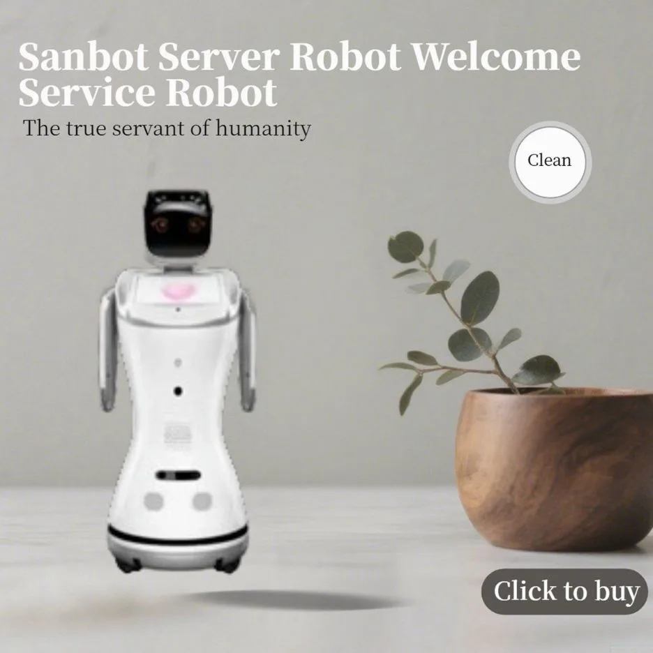 Sanbot S1