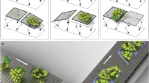 Sashimi-Bot