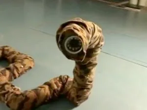 Snake Robot