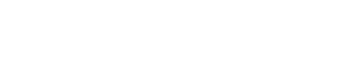 Spot Gamma