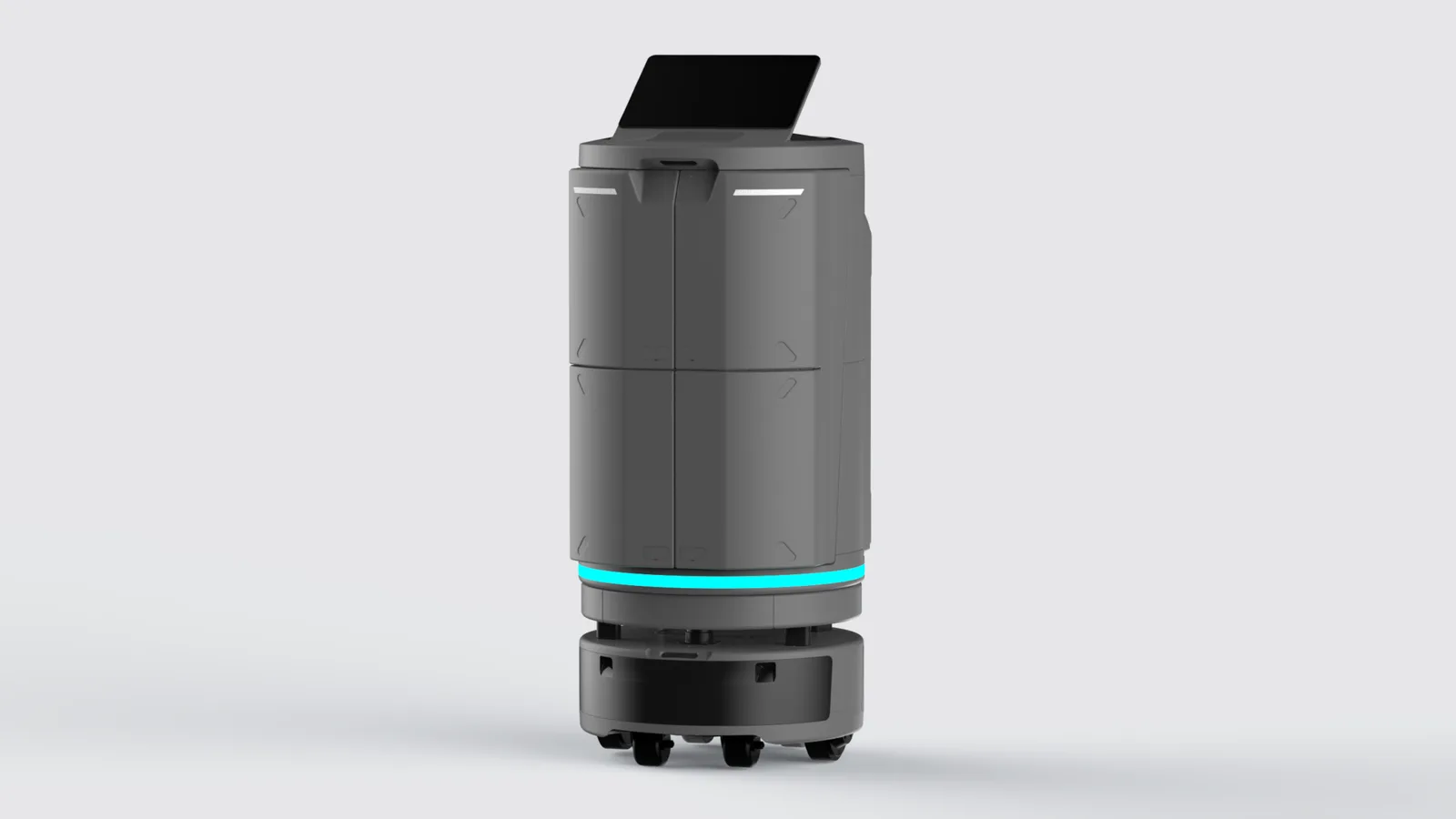 temi GO PRO